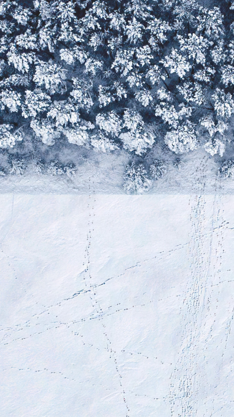 Winter landscape seen from a drone wallpaper 750x1334