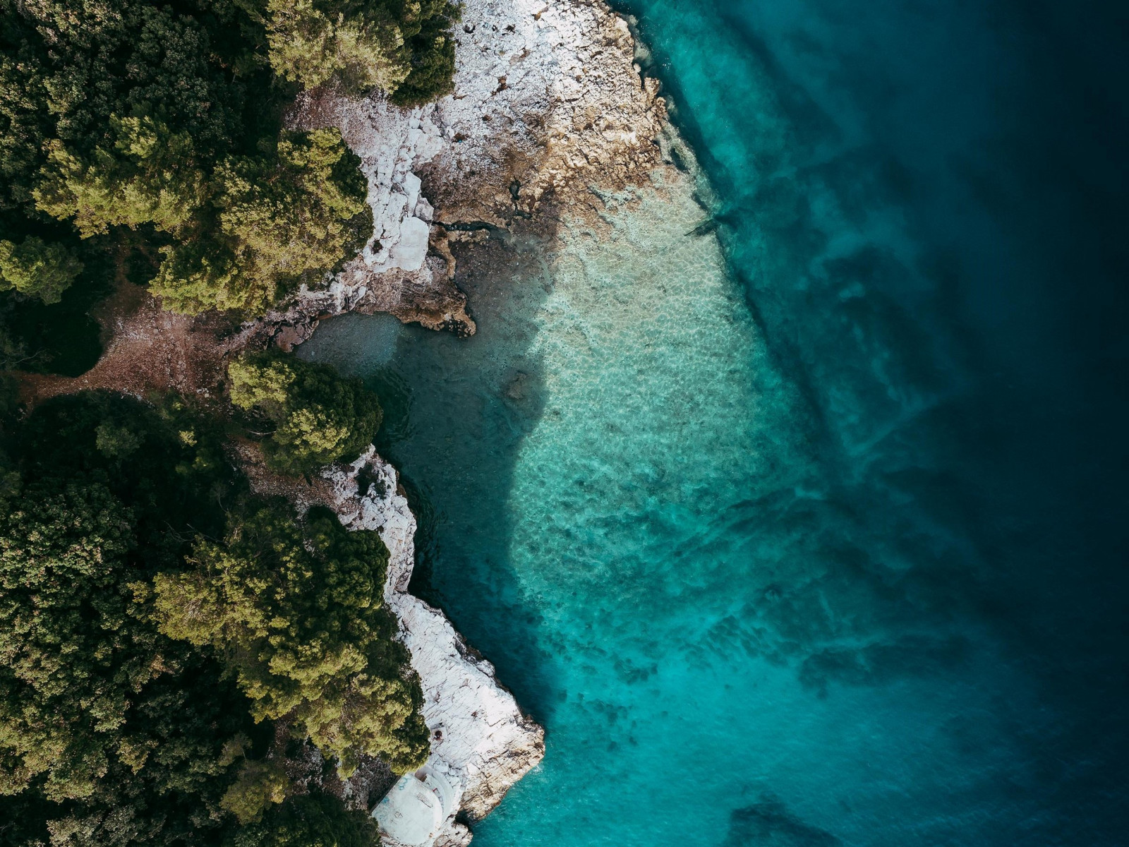 View from a drone above the ocean shore wallpaper 1600x1200