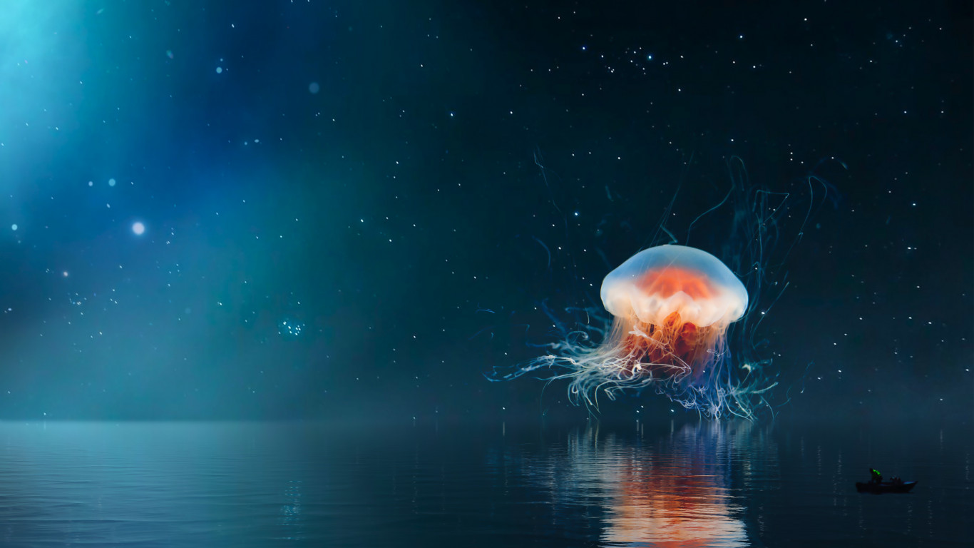 Jellyfish on the night sky wallpaper 1366x768