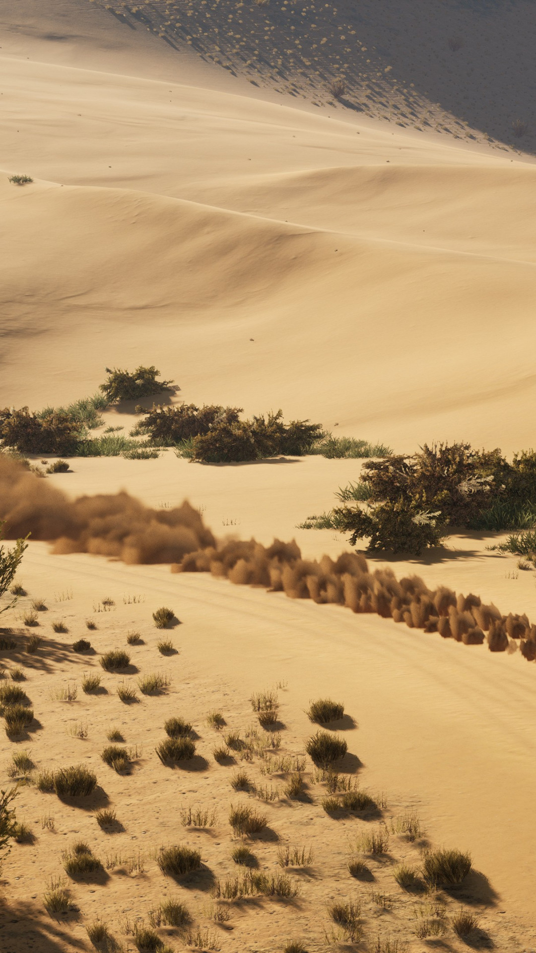 Dakar Desert Rally wallpaper 1080x1920