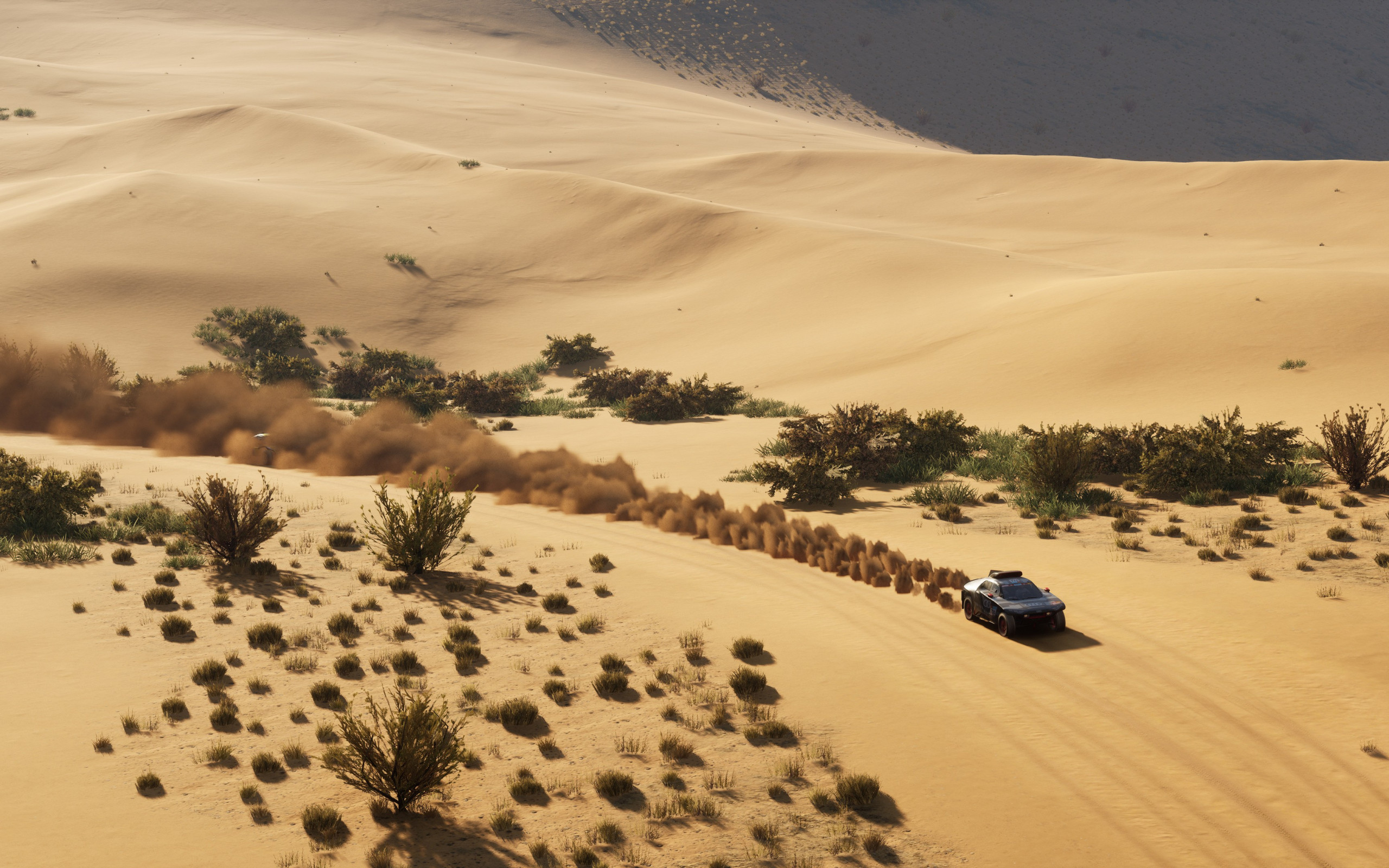 Dakar Desert Rally wallpaper 2560x1600