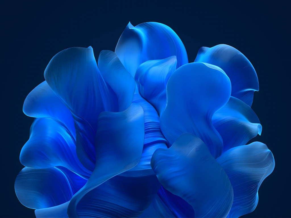 The blue petals wallpaper 1024x768
