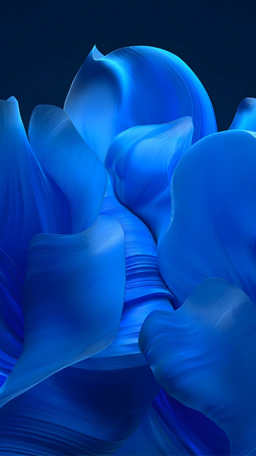 The blue petals wallpaper 1080x1920