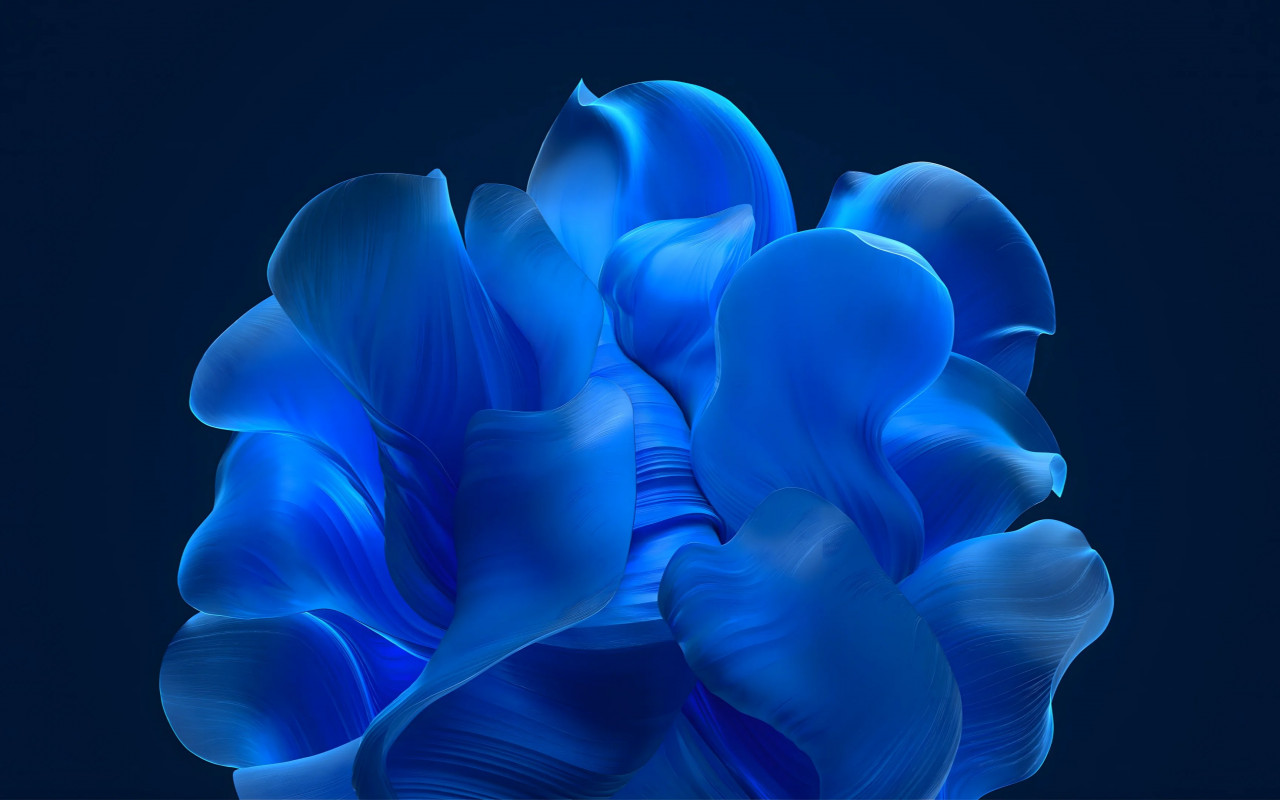 The blue petals wallpaper 1280x800