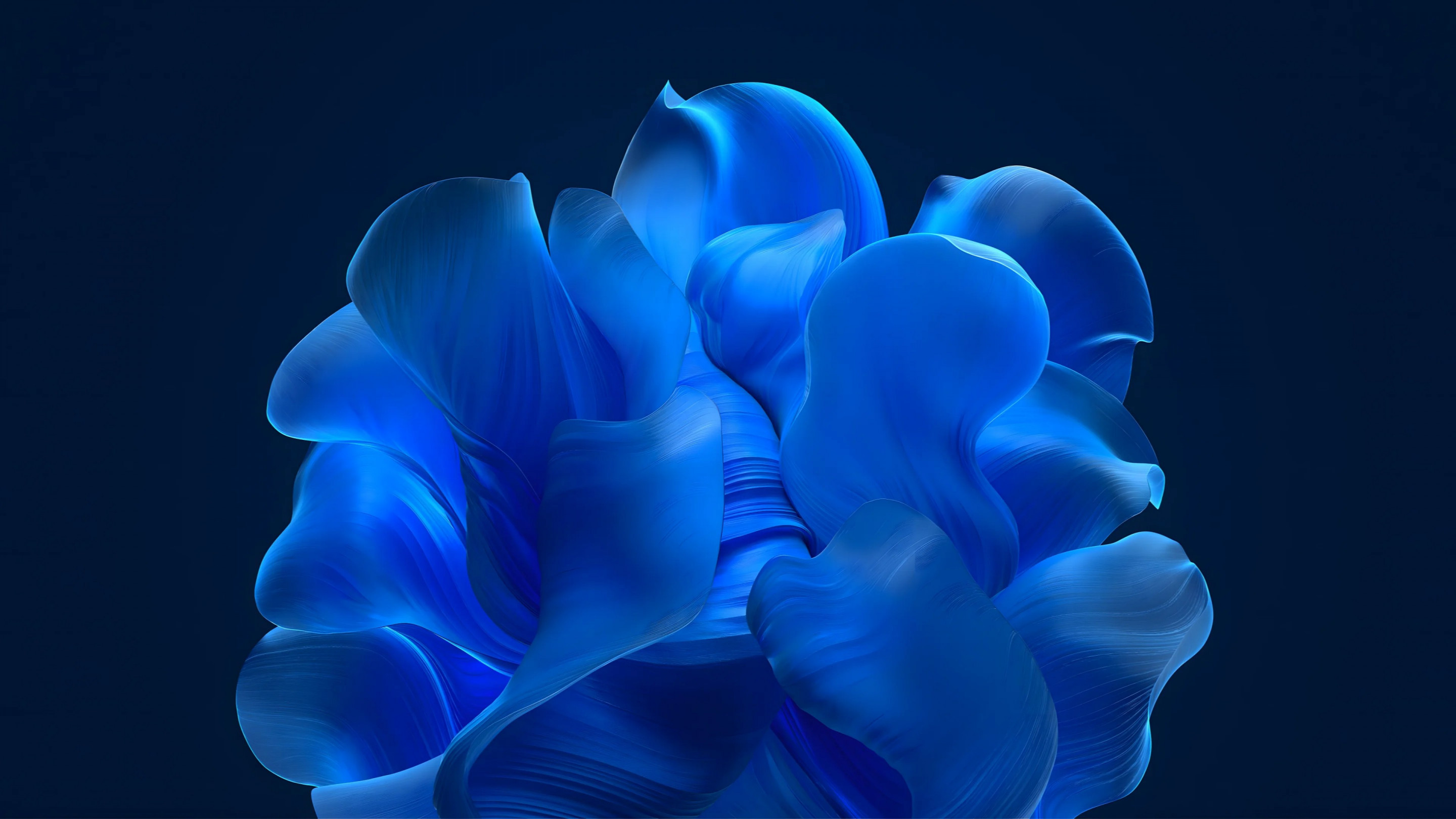 The blue petals wallpaper 2880x1620
