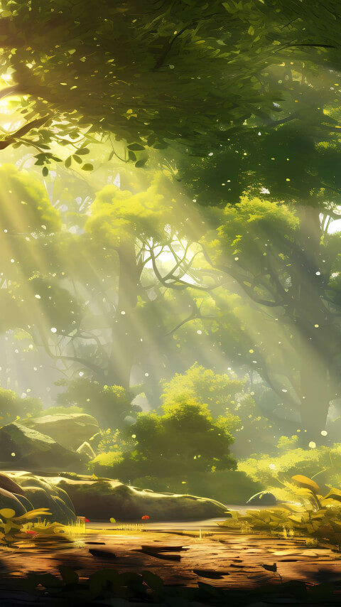 Sunbeams through forest wallpaper 480x854